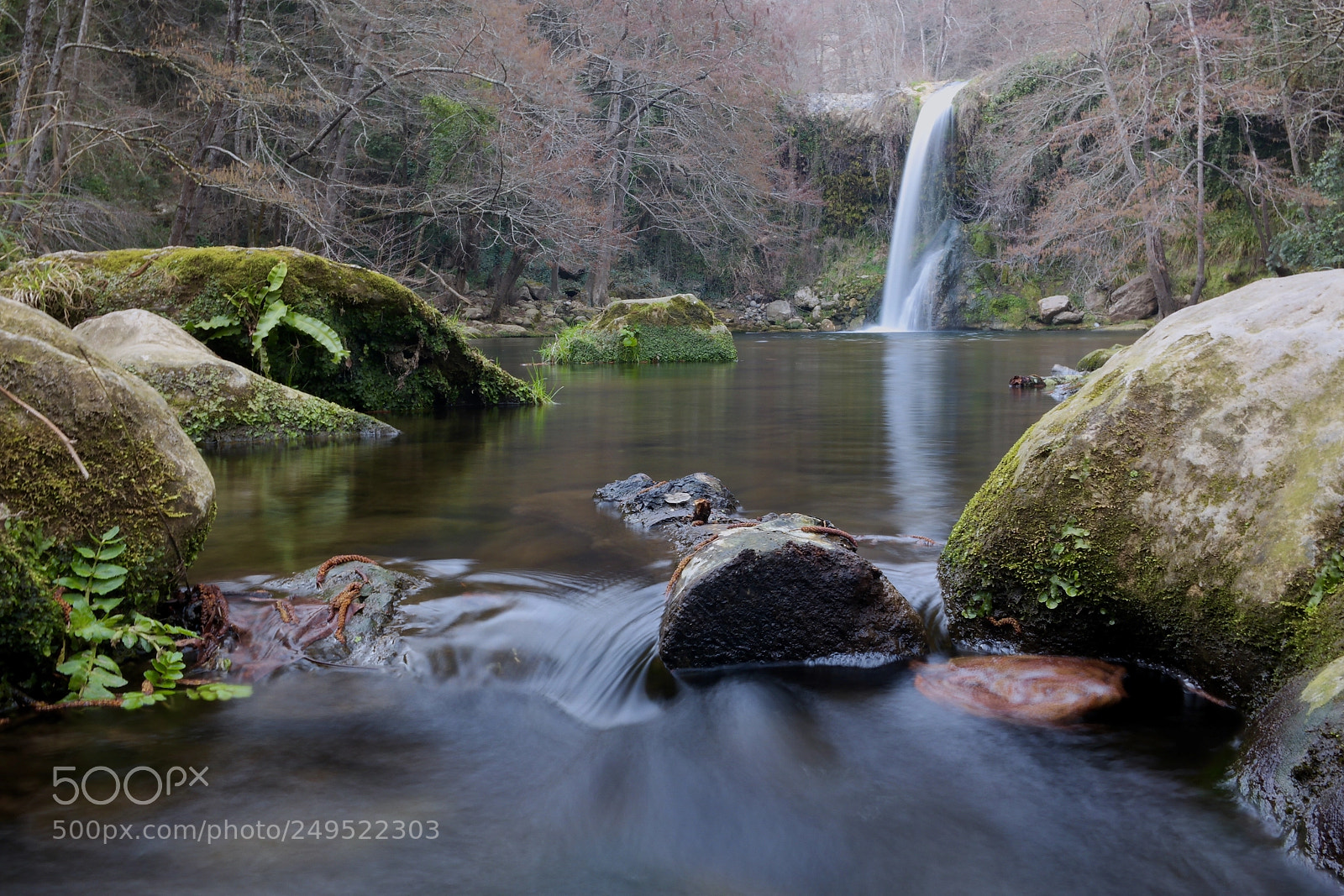 Samsung NX2000 sample photo. Gorg de santa margarida photography