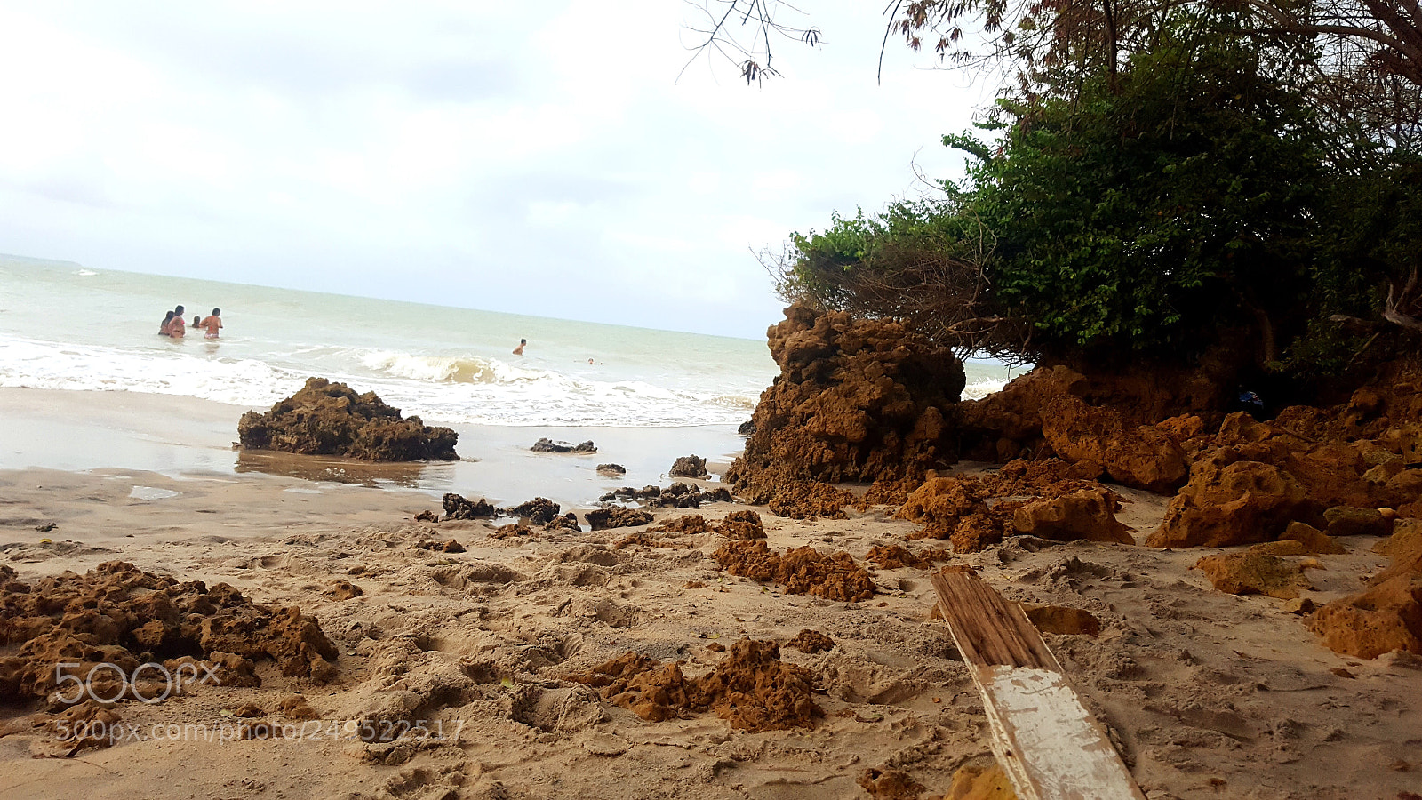 Samsung GALAXY S6 edge sample photo. Untitled photography