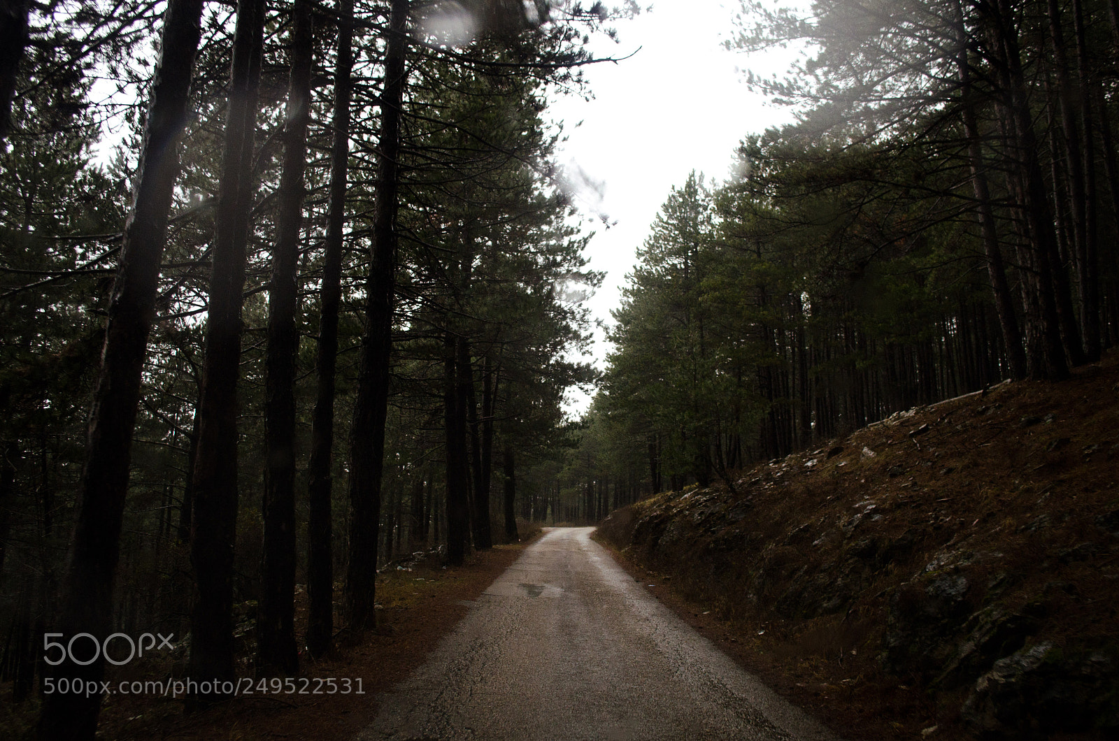 Nikon D5100 sample photo. Bileca baljci photography