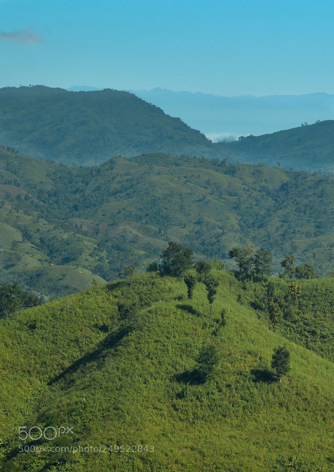Nikon D5300 sample photo. View from the way photography