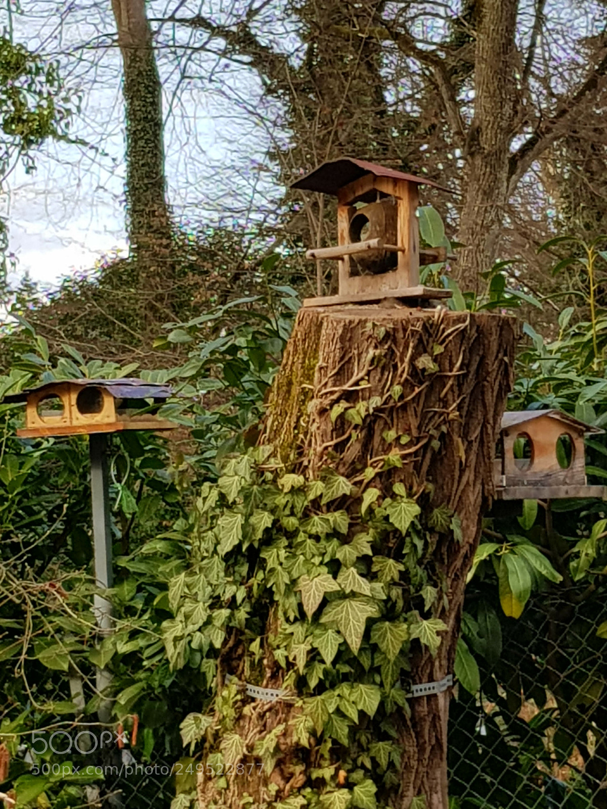 Samsung Galaxy S8 sample photo. Le refuge photography