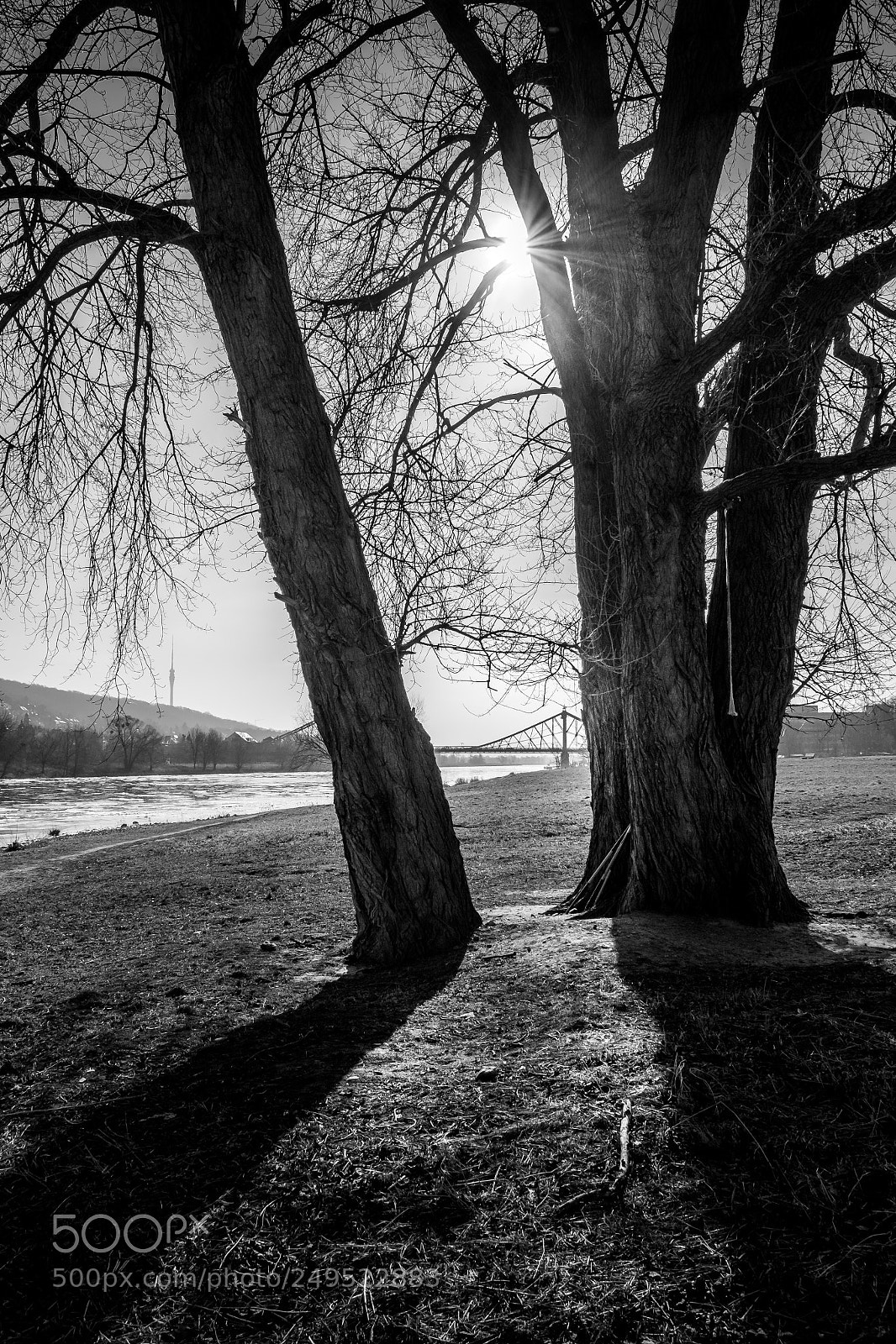 Fujifilm X-E2S sample photo. Blaues wunder photography