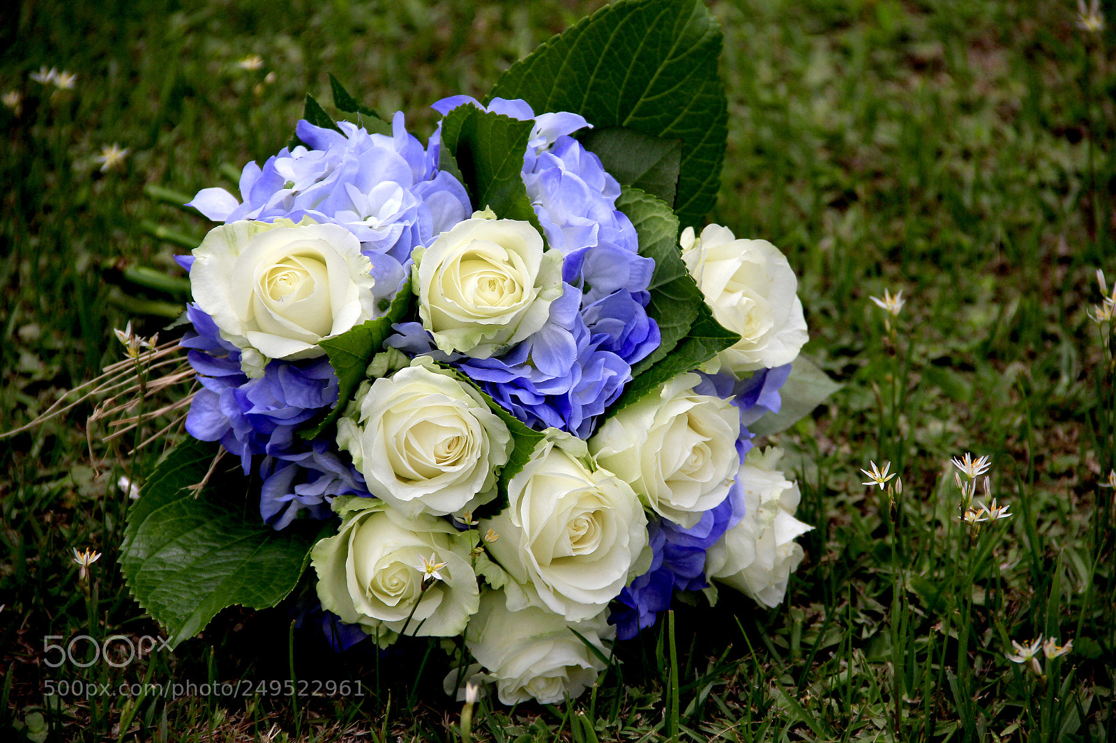 Canon EOS 60D sample photo. Casamento suellen e yvean photography