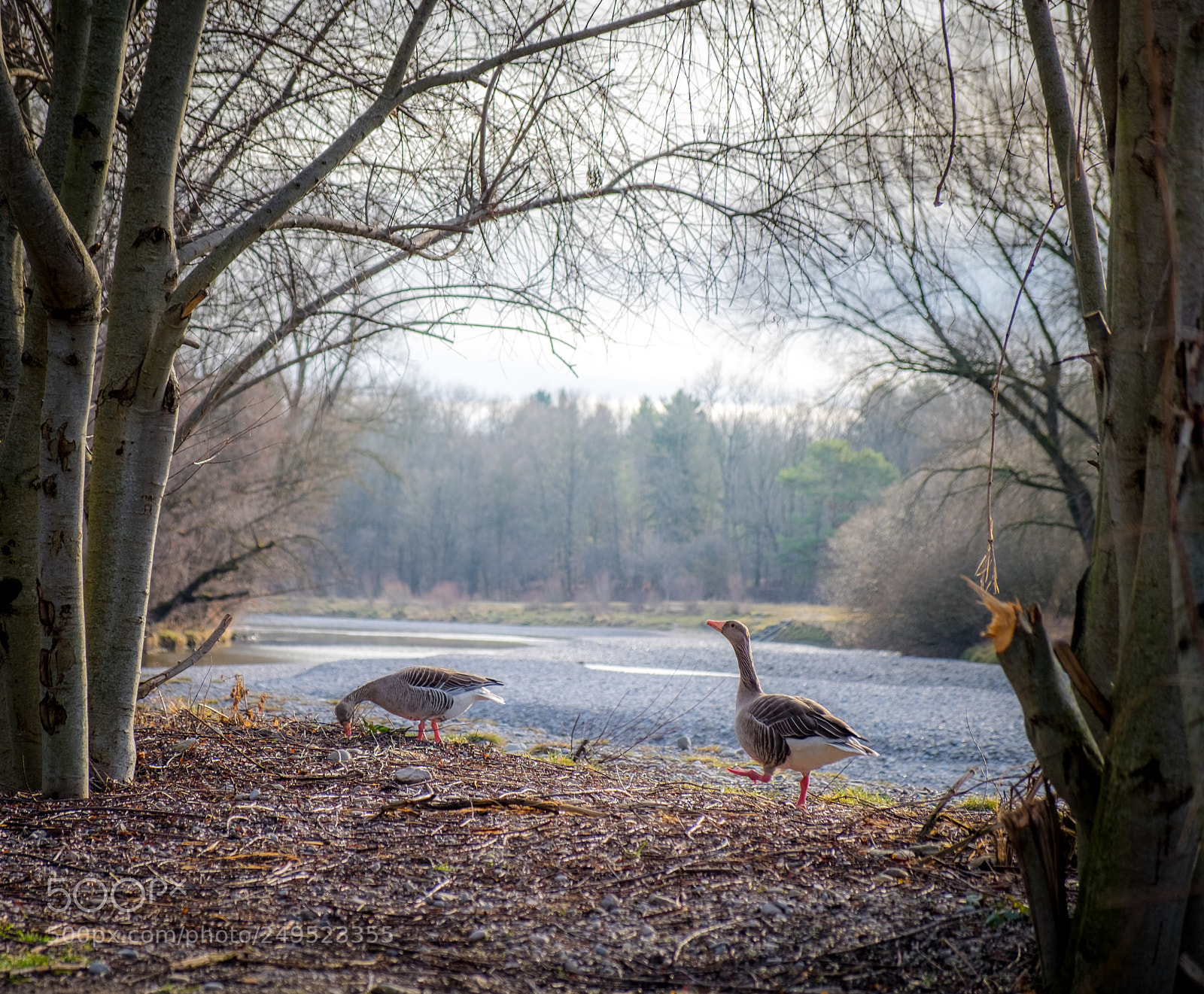 Fujifilm X-E2 sample photo. Tales of the two photography