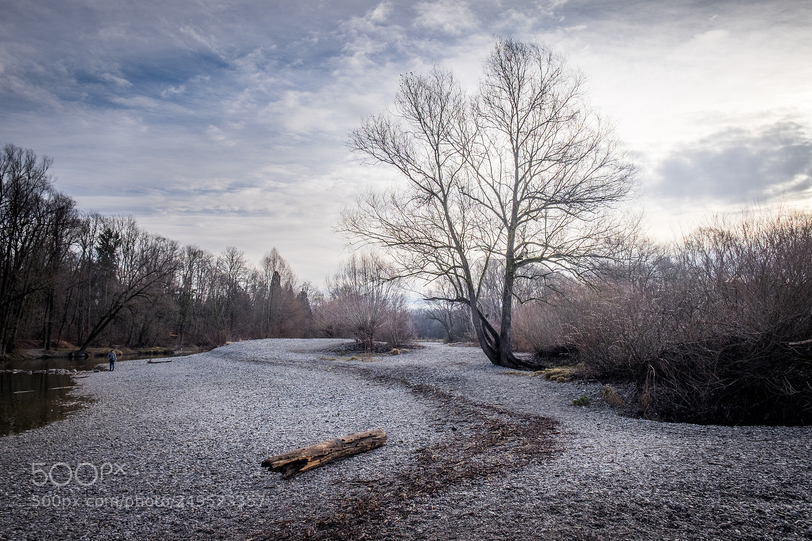 Fujifilm X-E2 sample photo. Dying winter for a photography