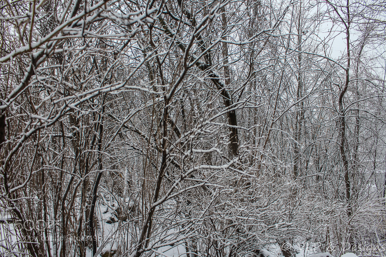 Canon EOS 1200D (EOS Rebel T5 / EOS Kiss X70 / EOS Hi) sample photo. Snow & wind photography
