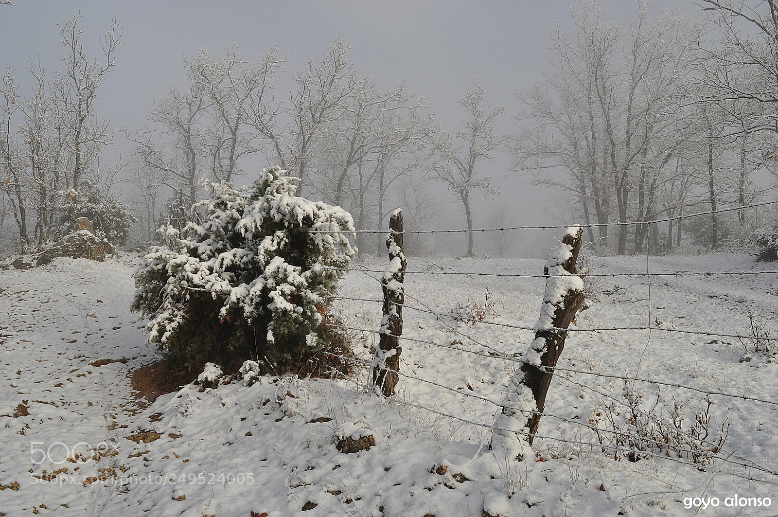Nikon D5000 sample photo. Nevada photography