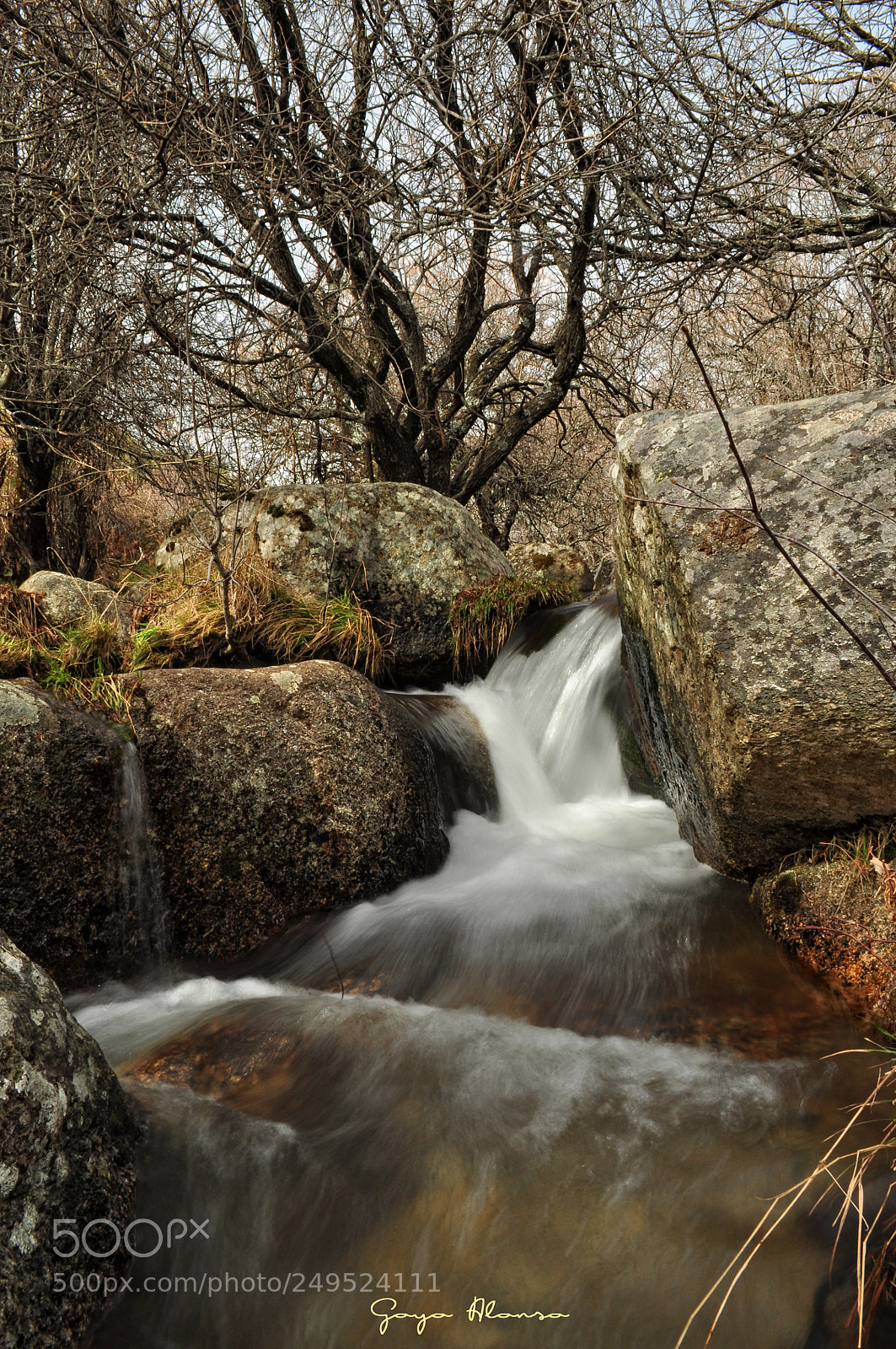 Nikon D5000 sample photo. Agua viva photography