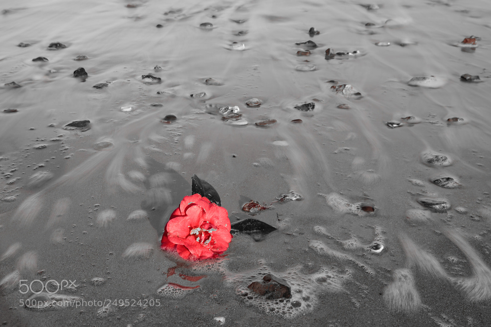 Canon EOS 5D Mark IV sample photo. All washed up. photography