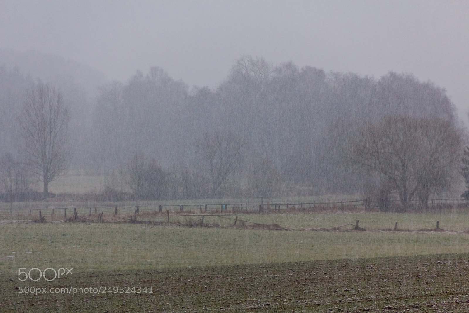 Canon EOS 60D sample photo. A little surprice in photography