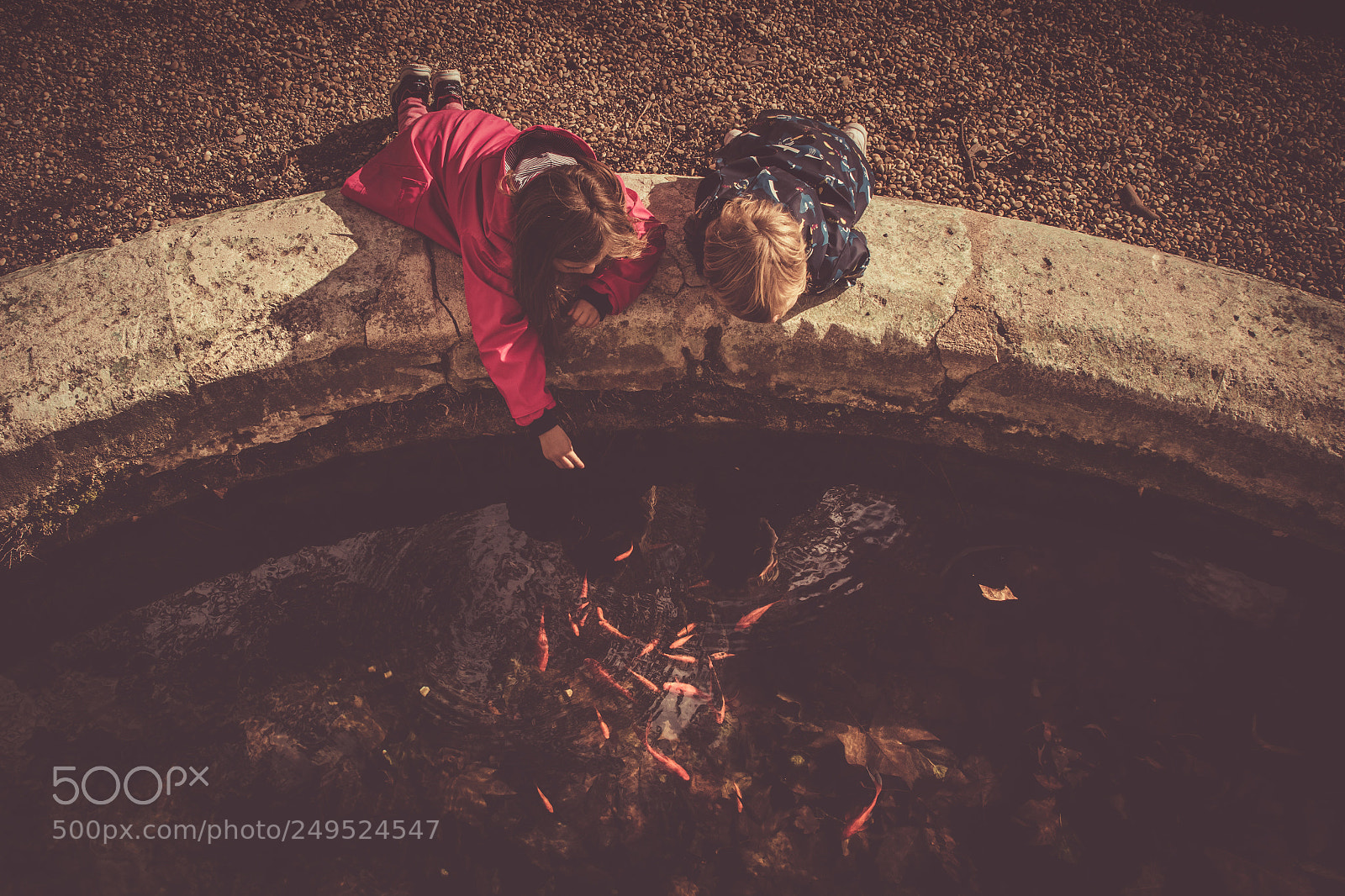 Canon EOS 7D Mark II sample photo. Feeding the fish photography