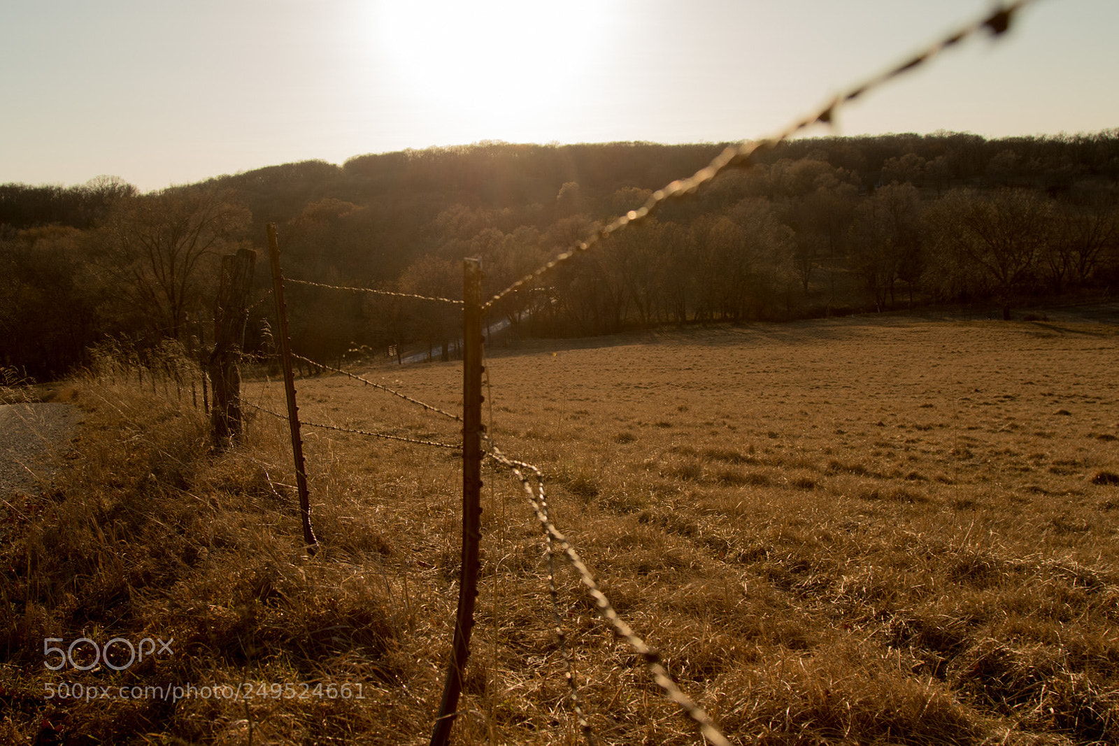Canon EOS 7D Mark II sample photo. Lecompton photography