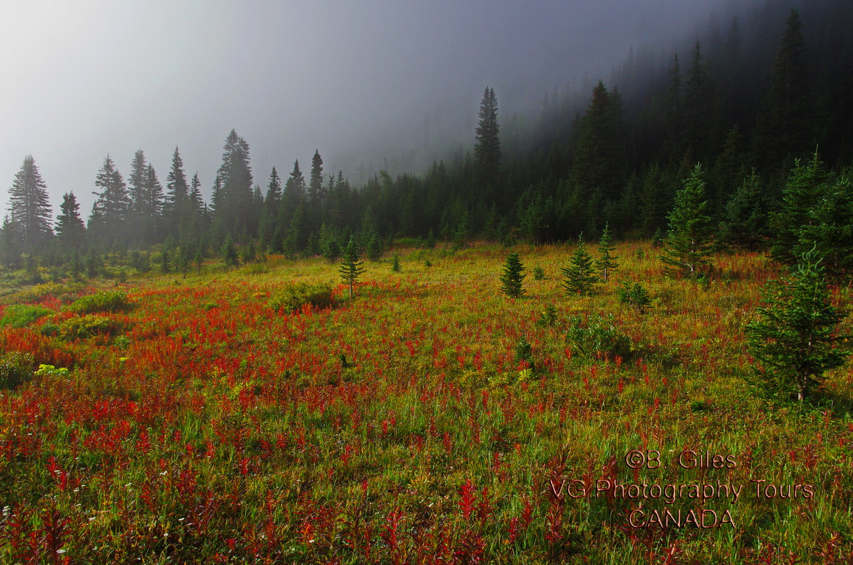 Pentax K-5 IIs sample photo. Mountain fog photography