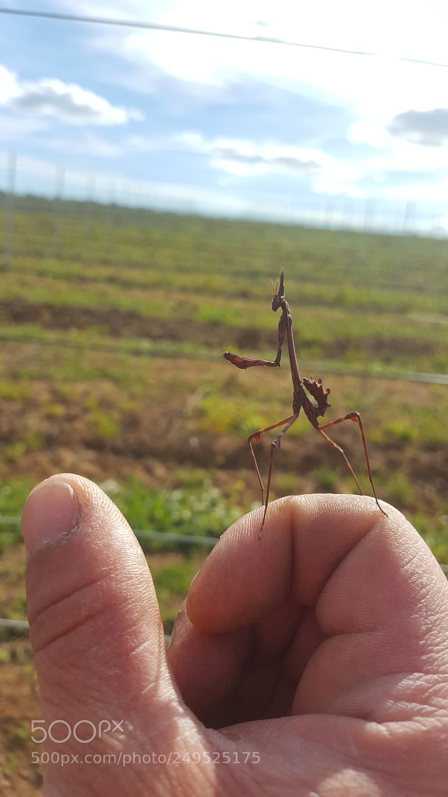 Samsung Galaxy S6 sample photo. Untitled photography