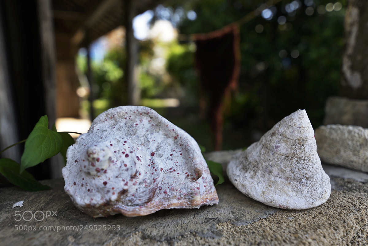 Nikon D610 sample photo. Seaside house photography