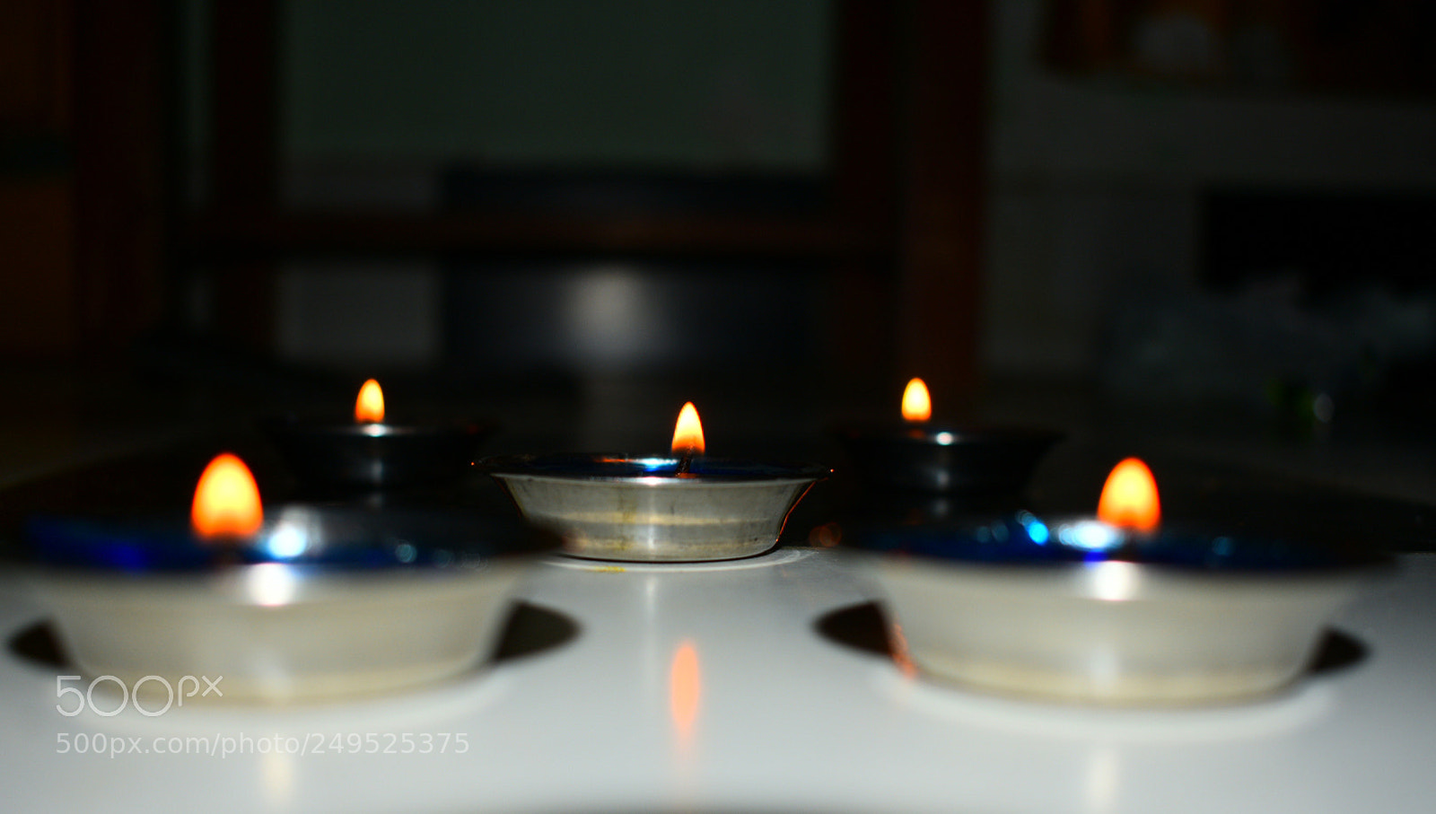 Nikon D3400 sample photo. Alive photography