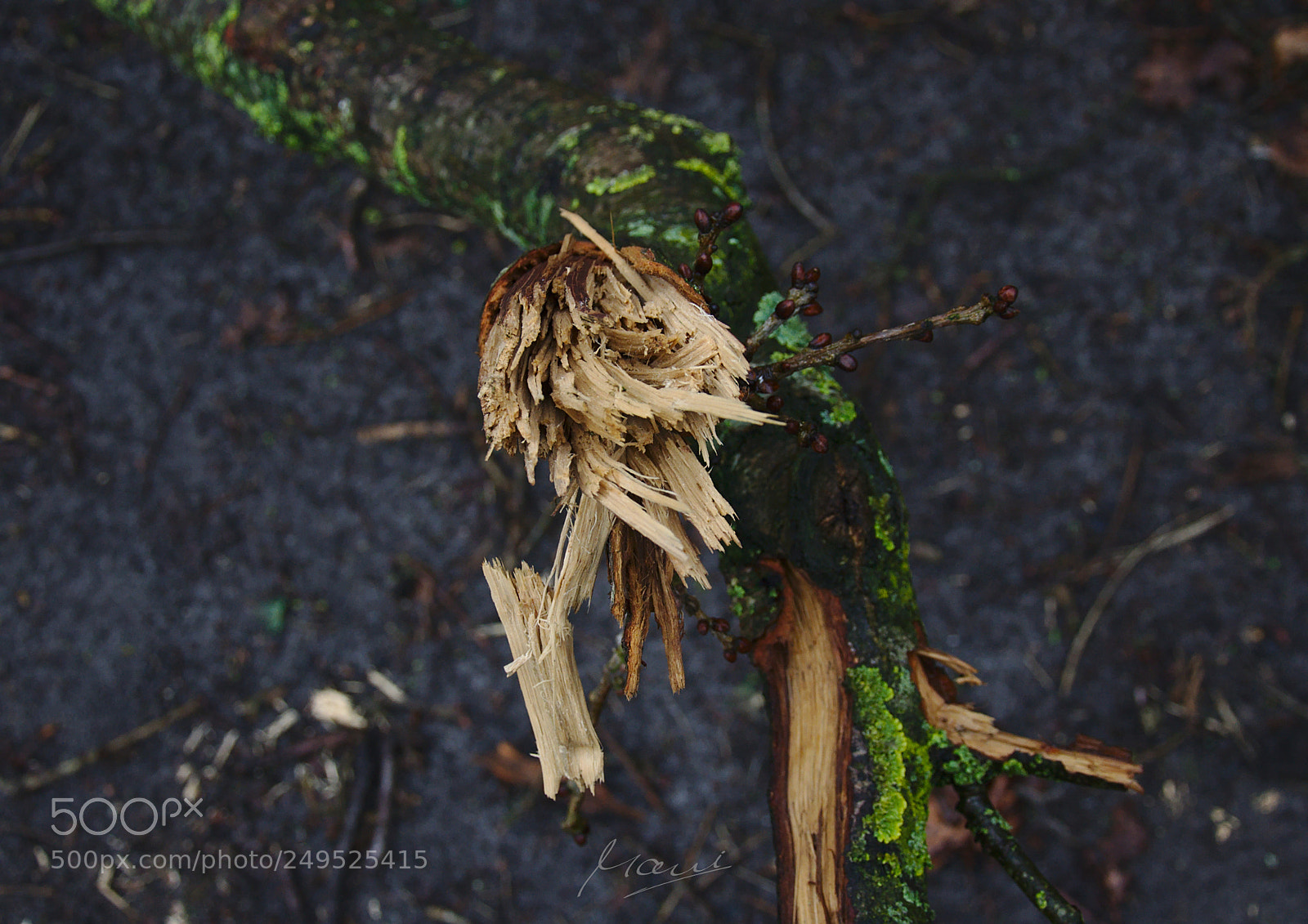 Nikon D90 sample photo. Broken photography