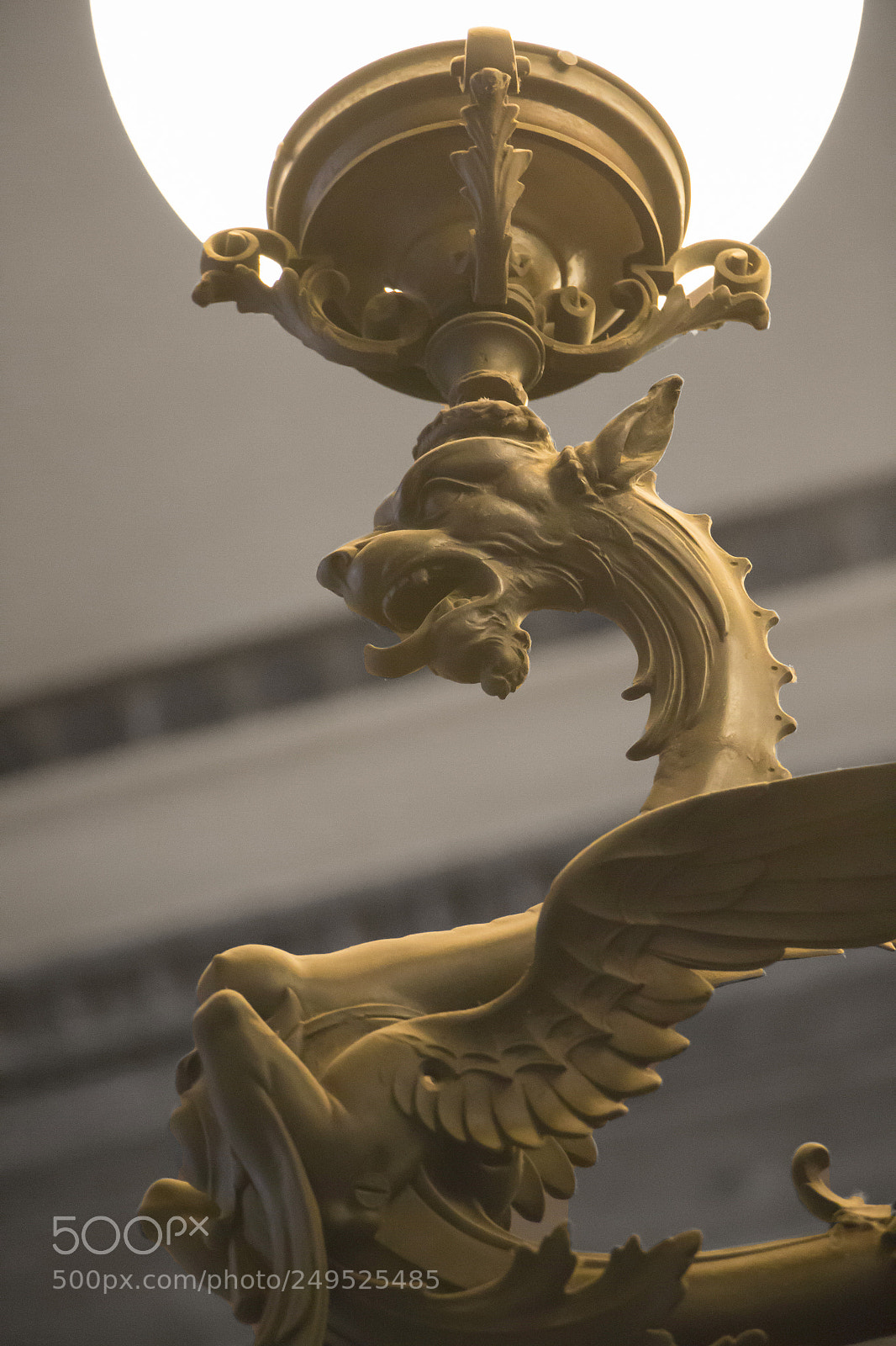 Canon EOS 70D sample photo. Dragon photography