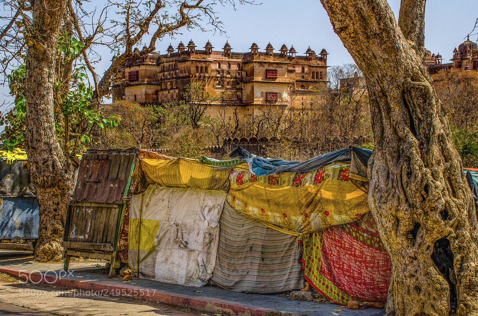 Nikon D7000 sample photo. Market road photography