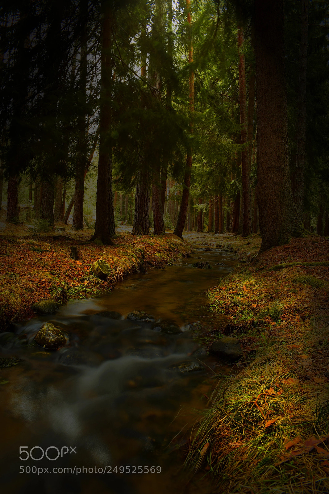 Nikon D5300 sample photo. Calmness photography