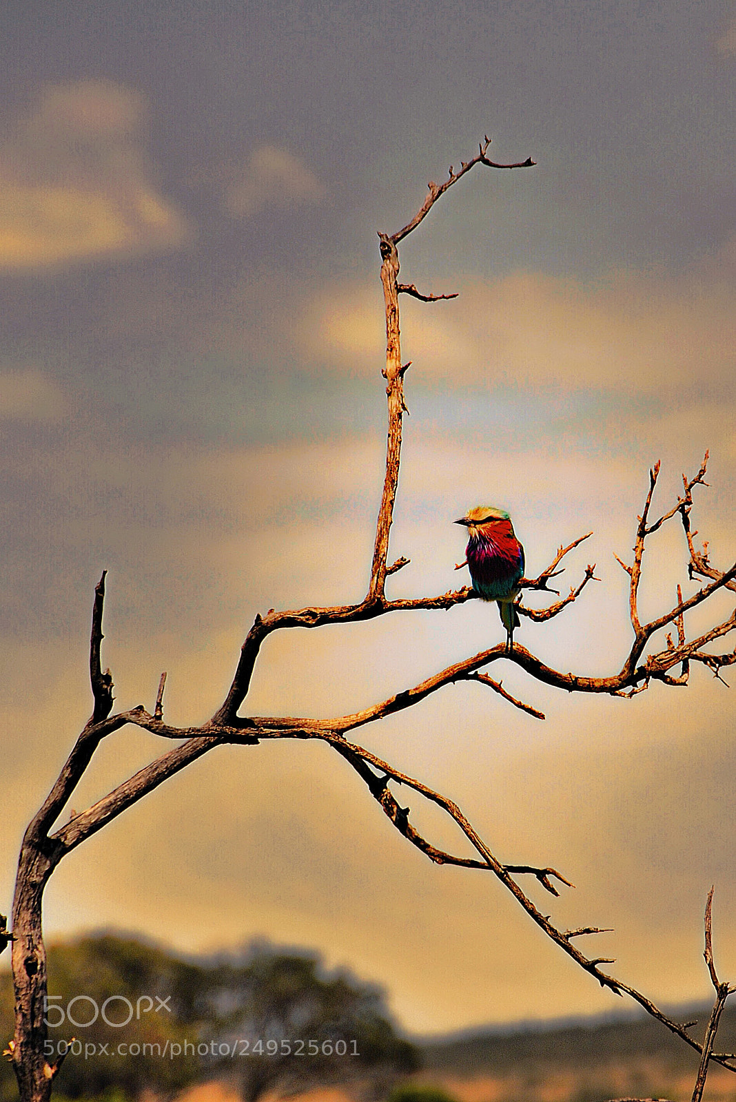 Nikon D300S sample photo. In order to see photography