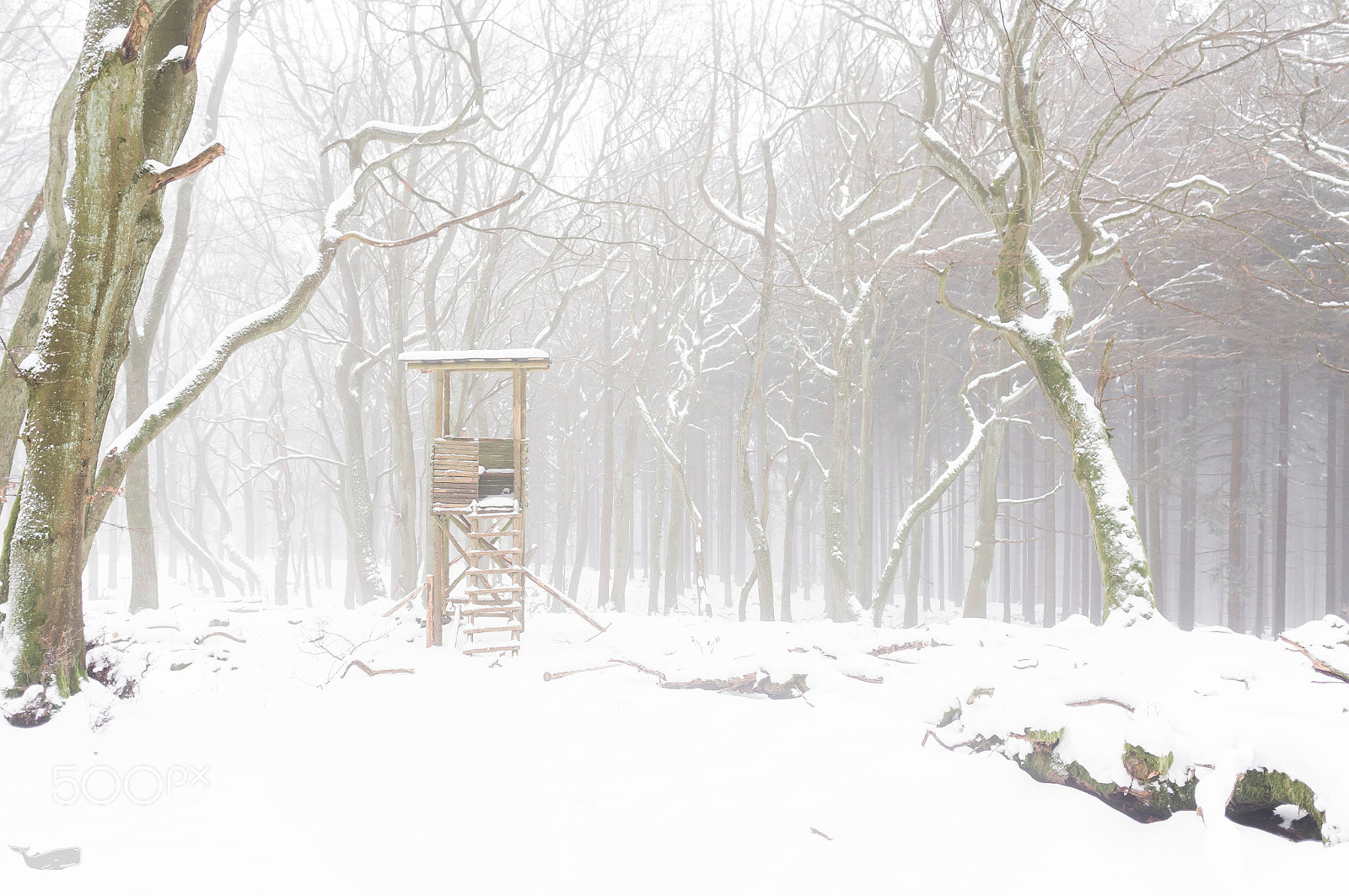 Sony Alpha NEX-6 sample photo. Thehunter photography