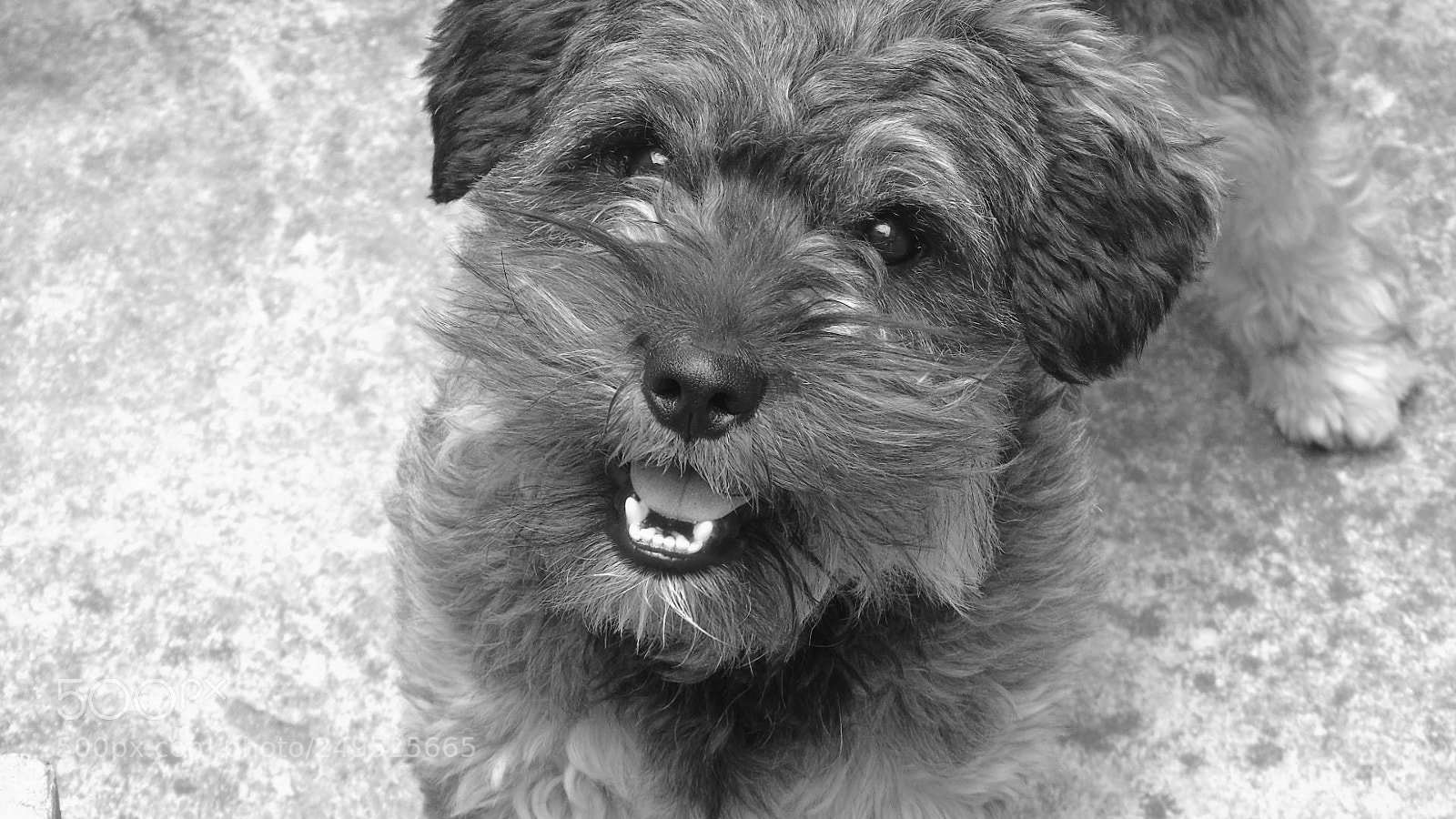 Sony Cyber-shot DSC-H400 sample photo. Sincerity in the eyes photography