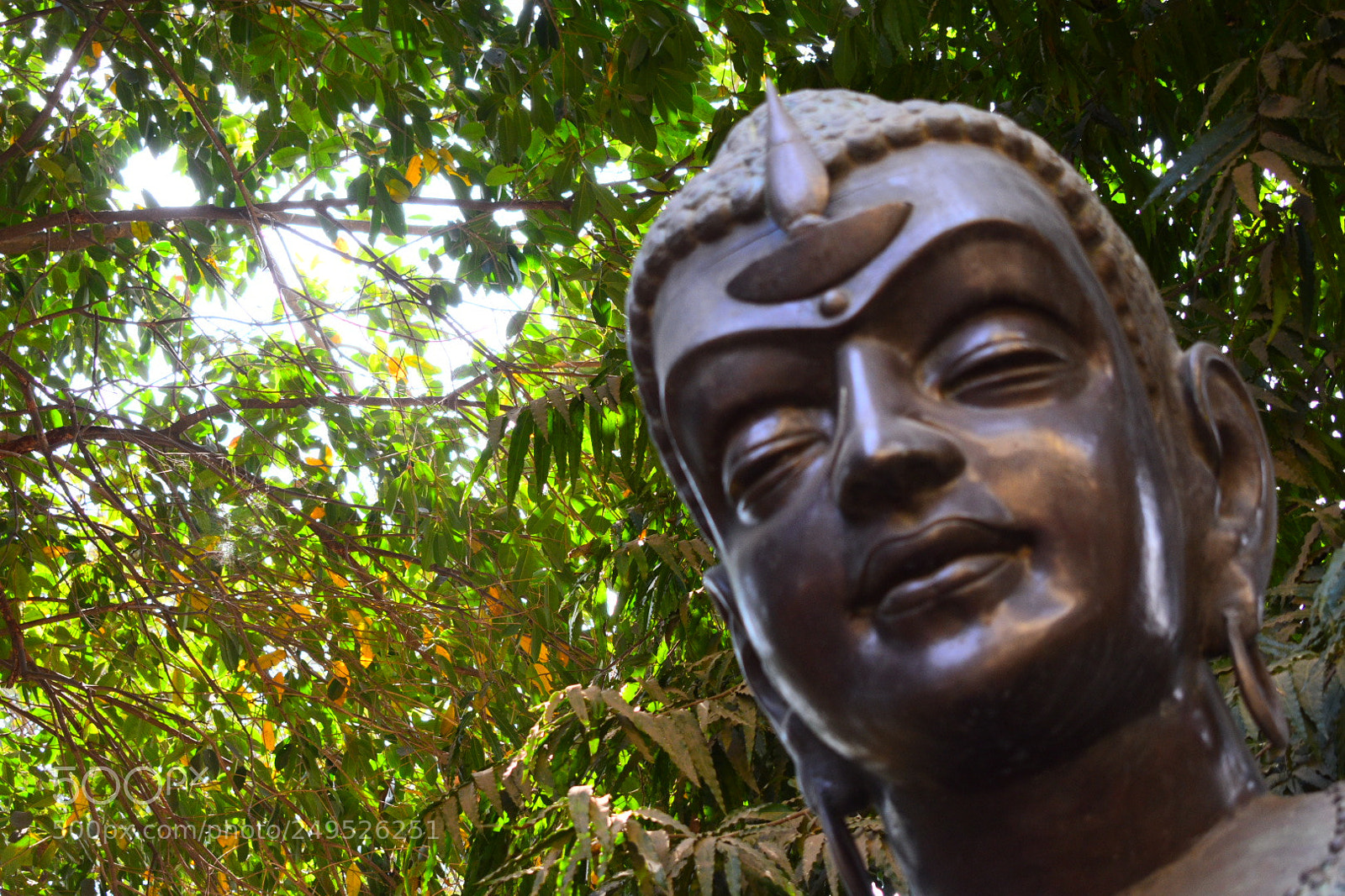 Nikon D3400 sample photo. Nirvana photography