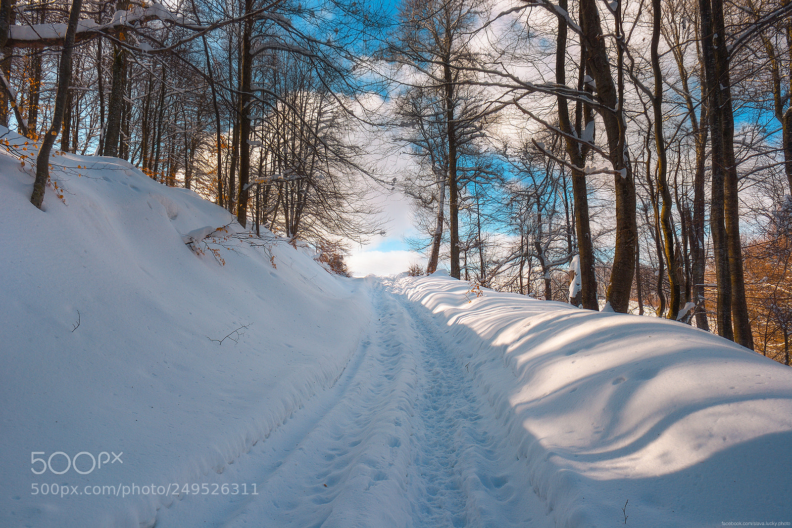 Nikon D610 sample photo. Winter fresh photography