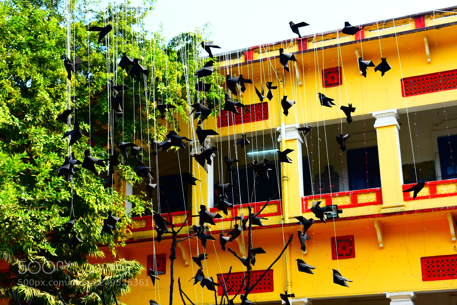 Nikon D3400 sample photo. Imagine photography