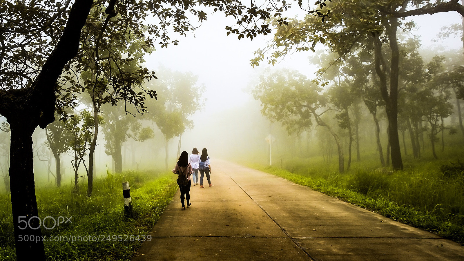 Fujifilm X-T20 sample photo. Chaiyaphum thailand photography