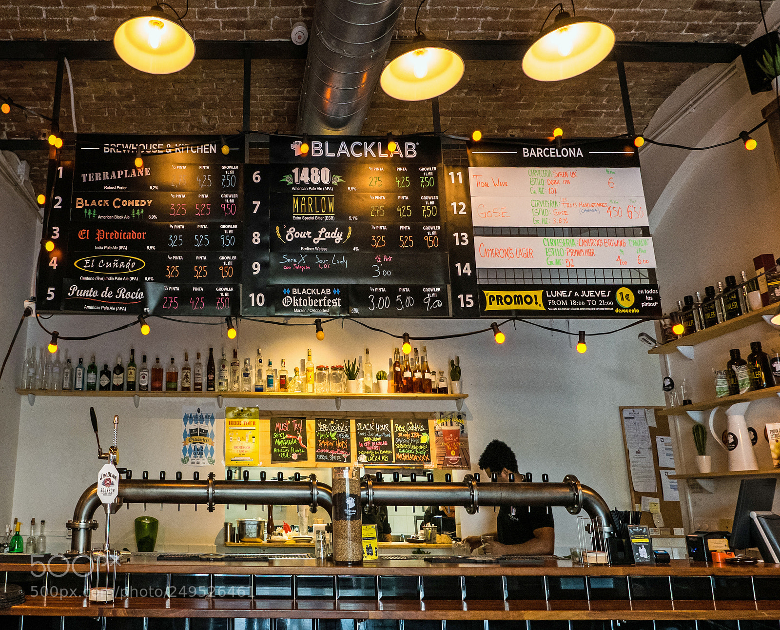 Panasonic Lumix DMC-LX100 sample photo. The bar black lab photography