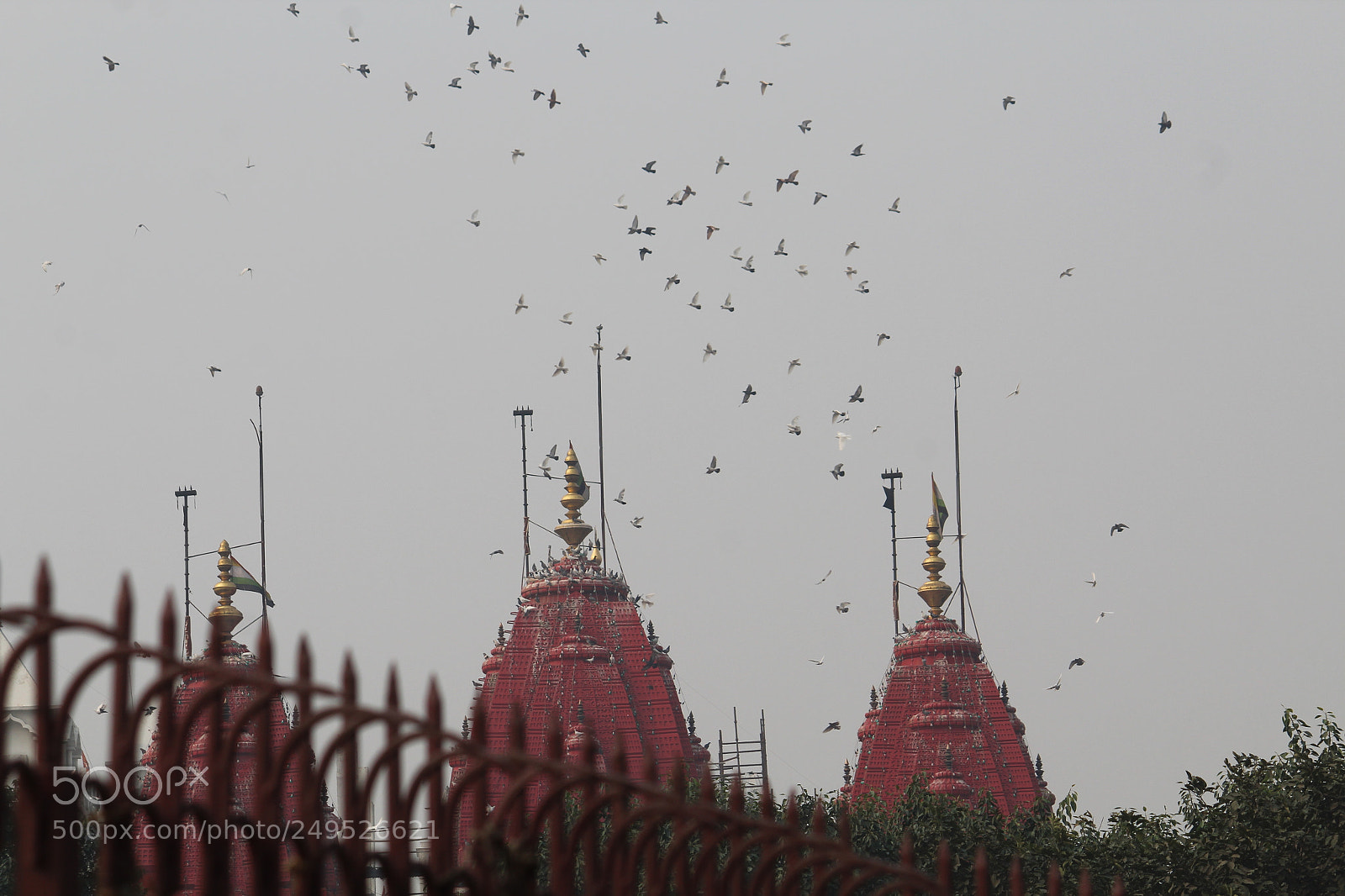 Canon EF-S 55-250mm F4-5.6 IS II sample photo. Untitled photography
