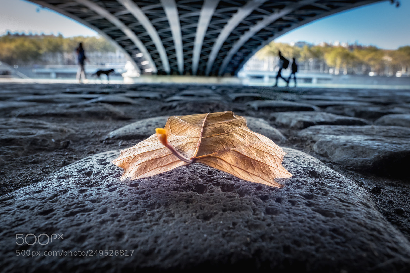 Panasonic Lumix DMC-LX10 (Lumix DMC-LX15) sample photo. Under the wison bridge photography