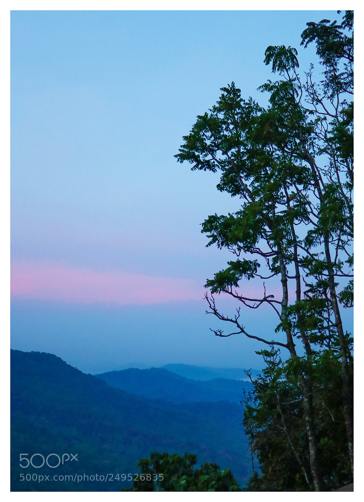 Canon EOS 80D sample photo. Devimane ghat 5 45am photography