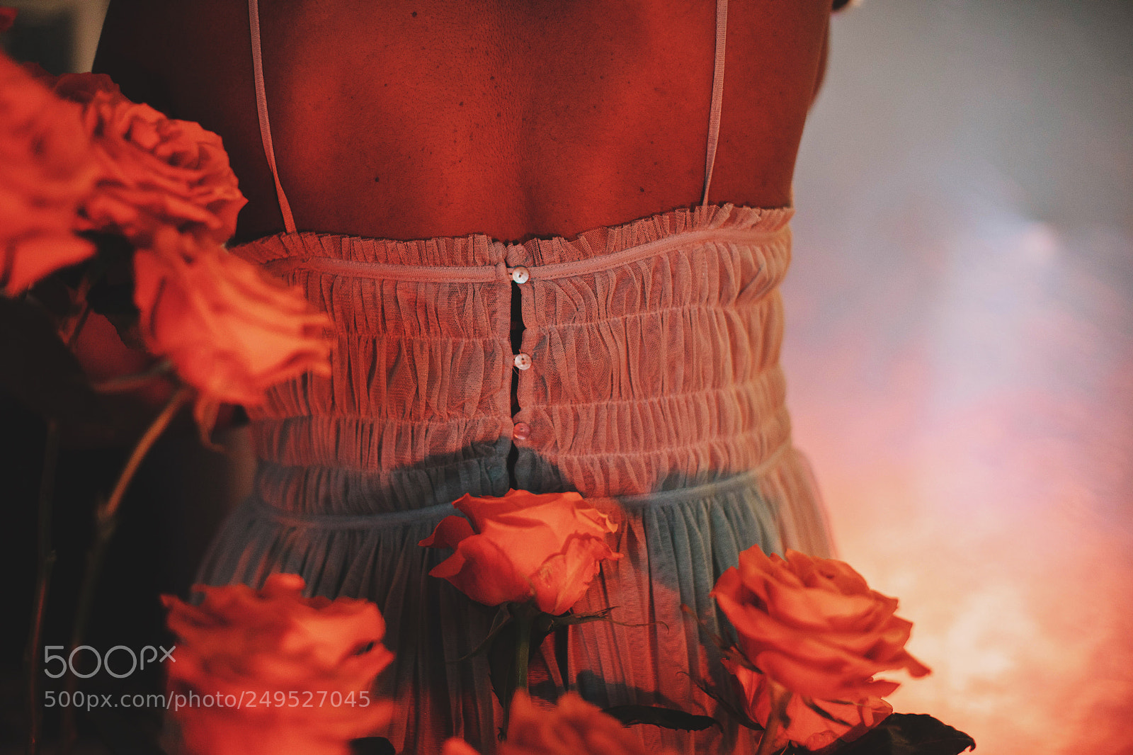 Canon EOS 5D Mark IV sample photo. Florals photography
