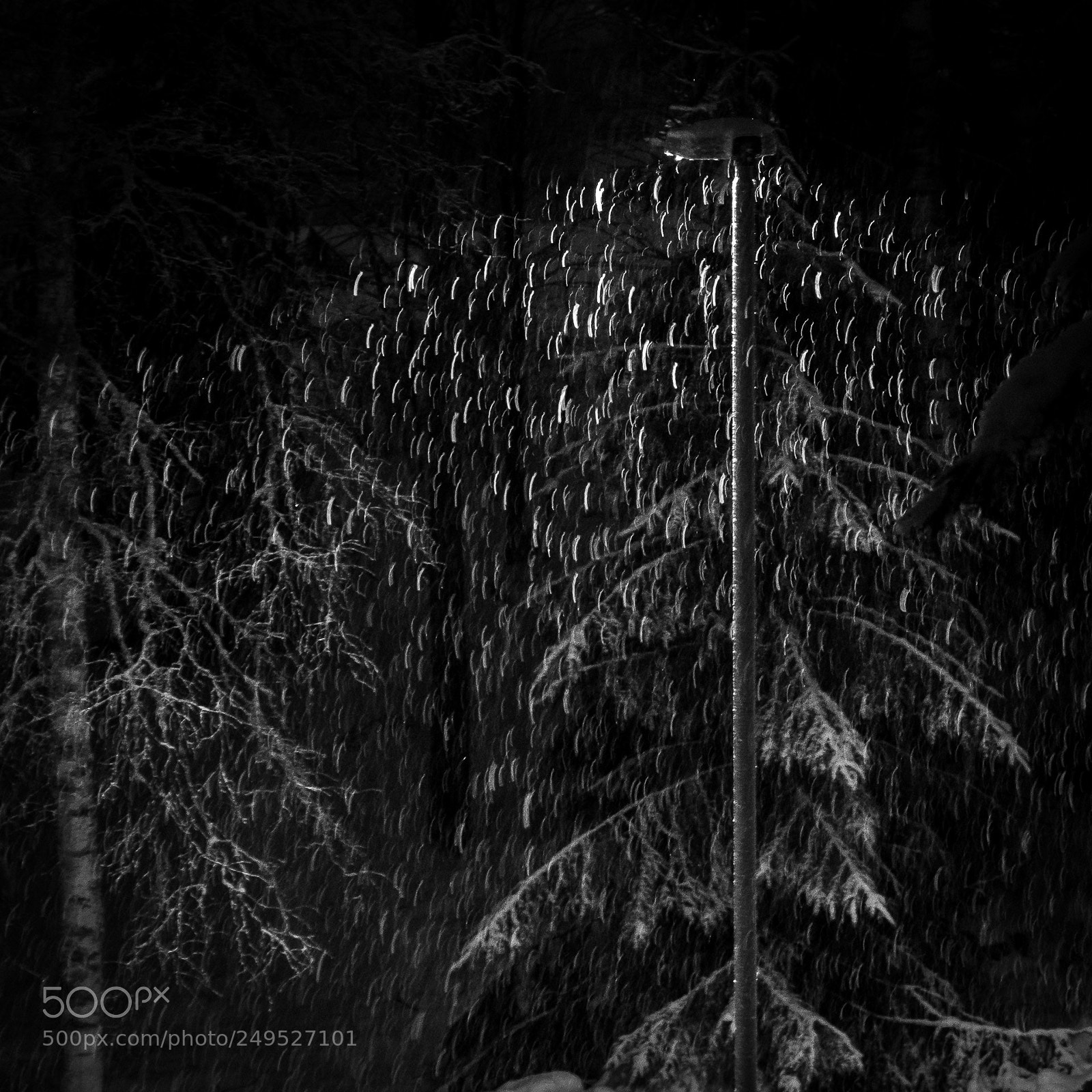 Fujifilm X-T10 sample photo. Night snowfall photography