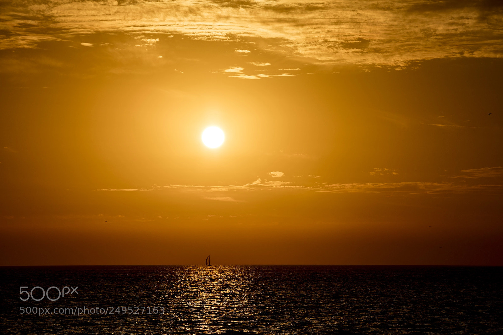 Canon EOS 5DS R sample photo. Sunset- jumeirah photography