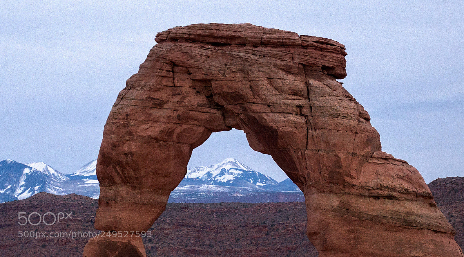 Nikon D610 sample photo. Winter framed photography