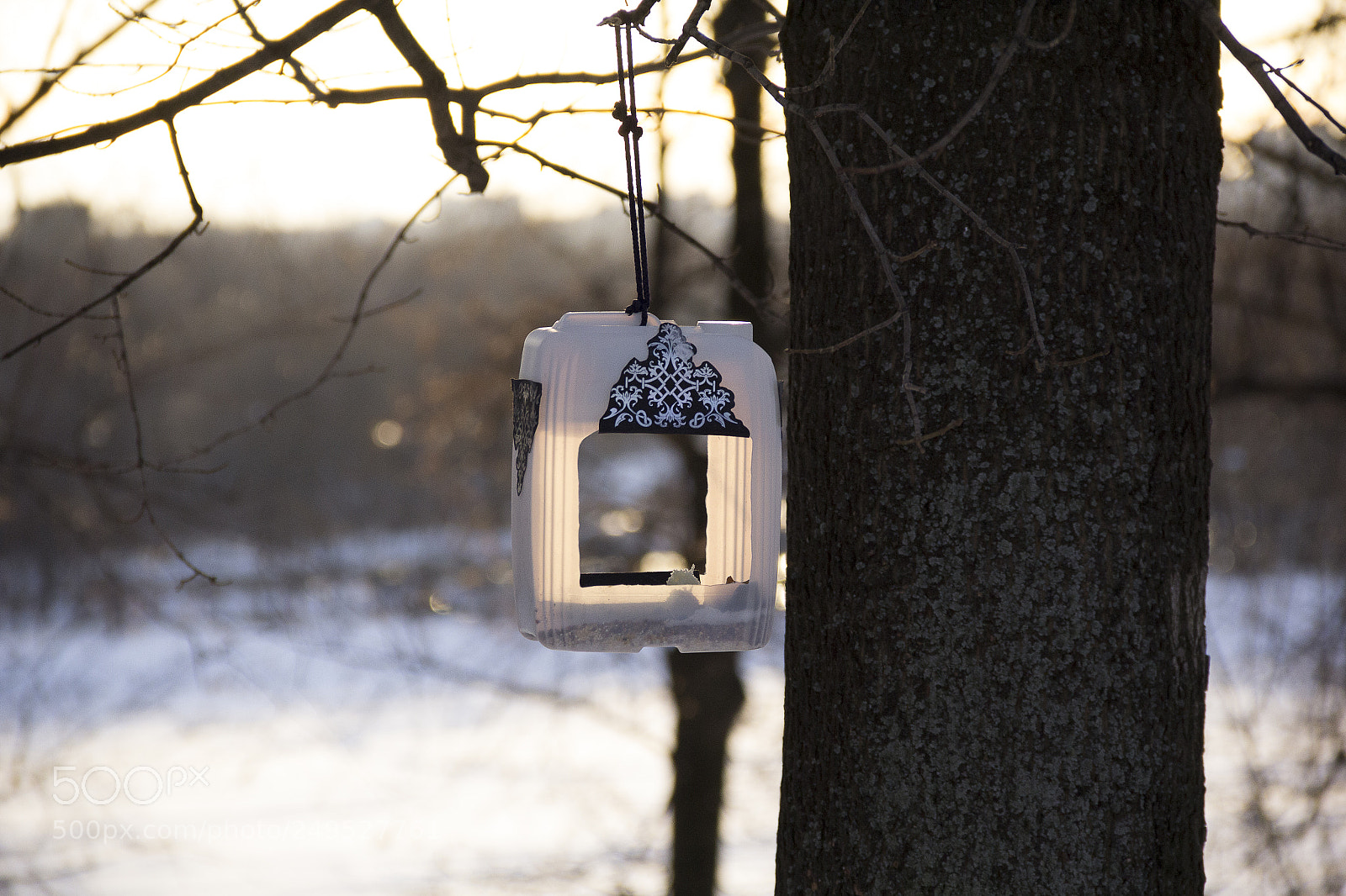 Canon EOS 60D sample photo. Img photography