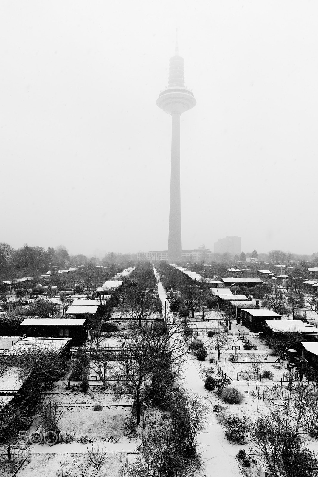 Canon EOS 5D Mark IV sample photo. Ufo on a foggy photography