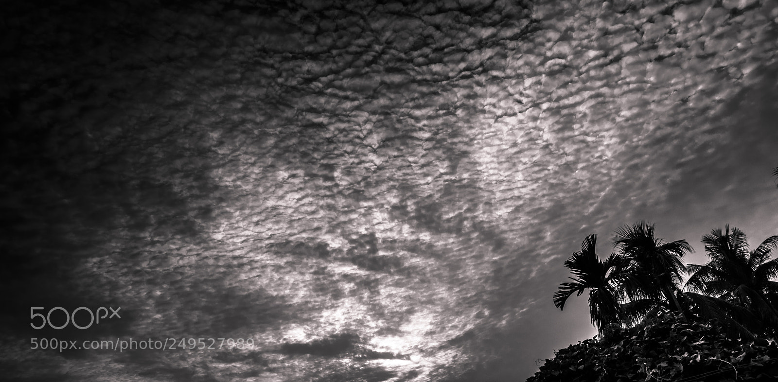 Nikon D5300 sample photo. Storm is coming photography