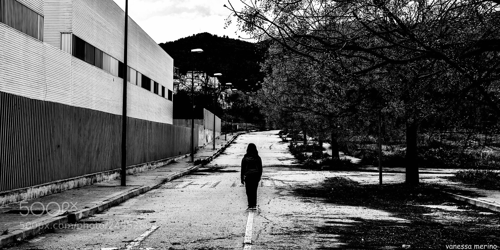 Nikon D3300 sample photo. Untitled photography