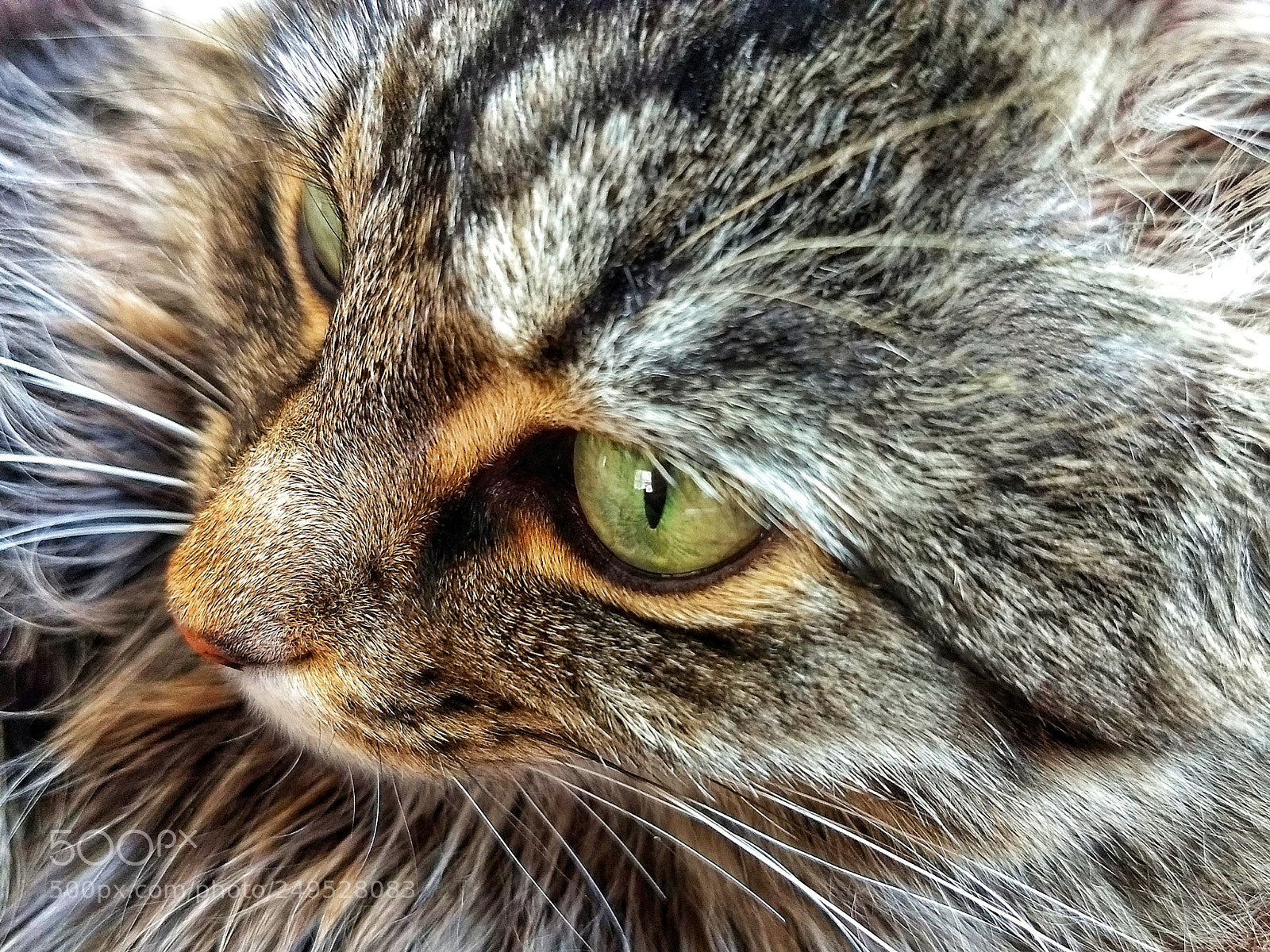 Motorola Moto Z (2) Play sample photo. I'm ready for my photography