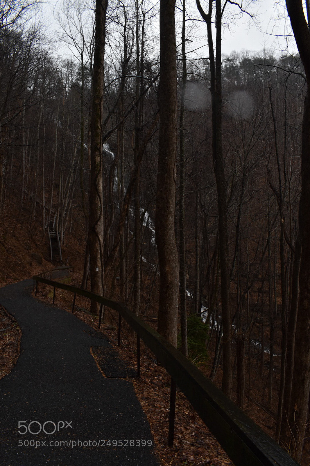 Nikon D5500 sample photo. Amicalola falls in the photography