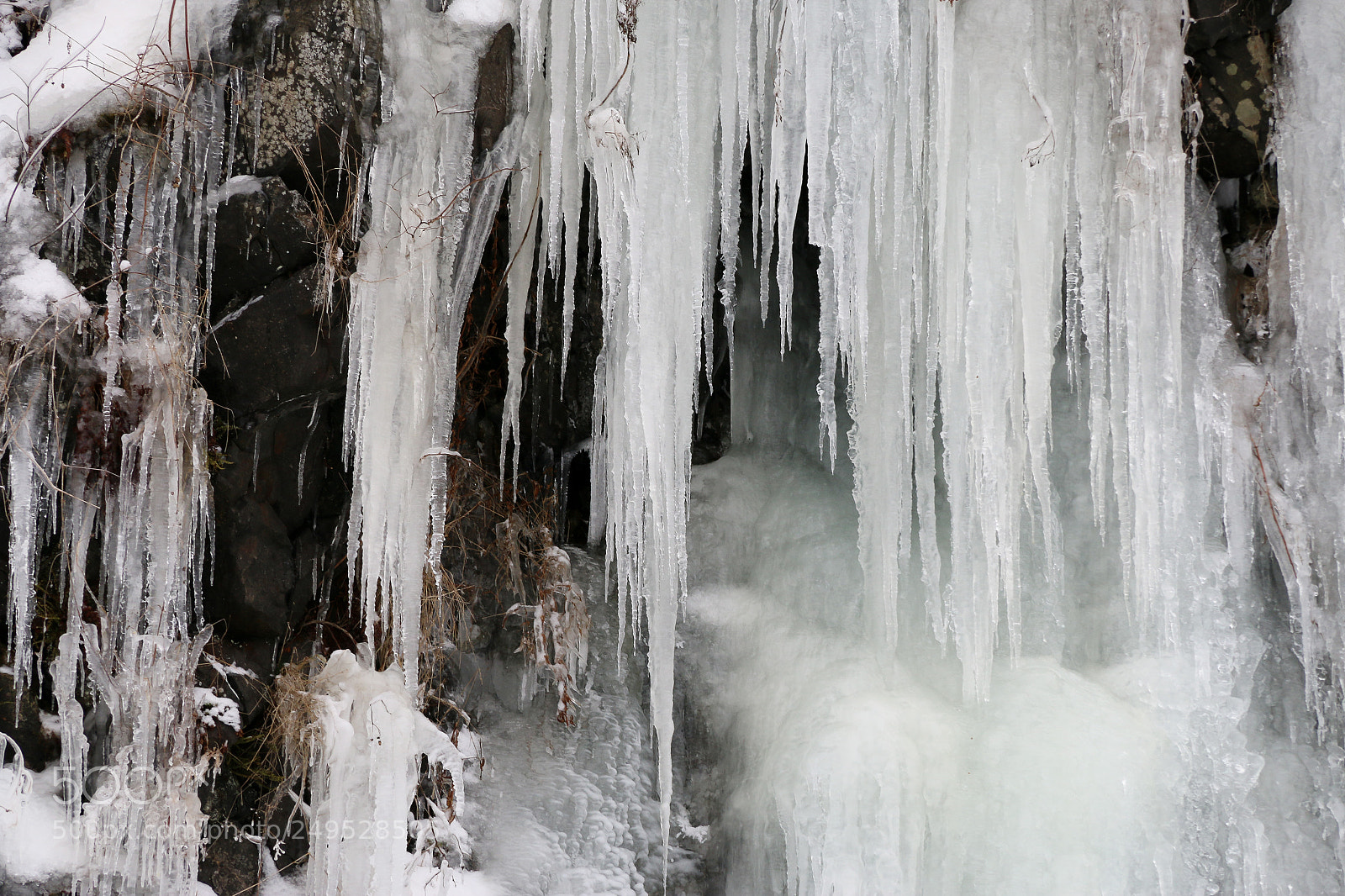 Canon EOS 70D sample photo. Frozen! photography