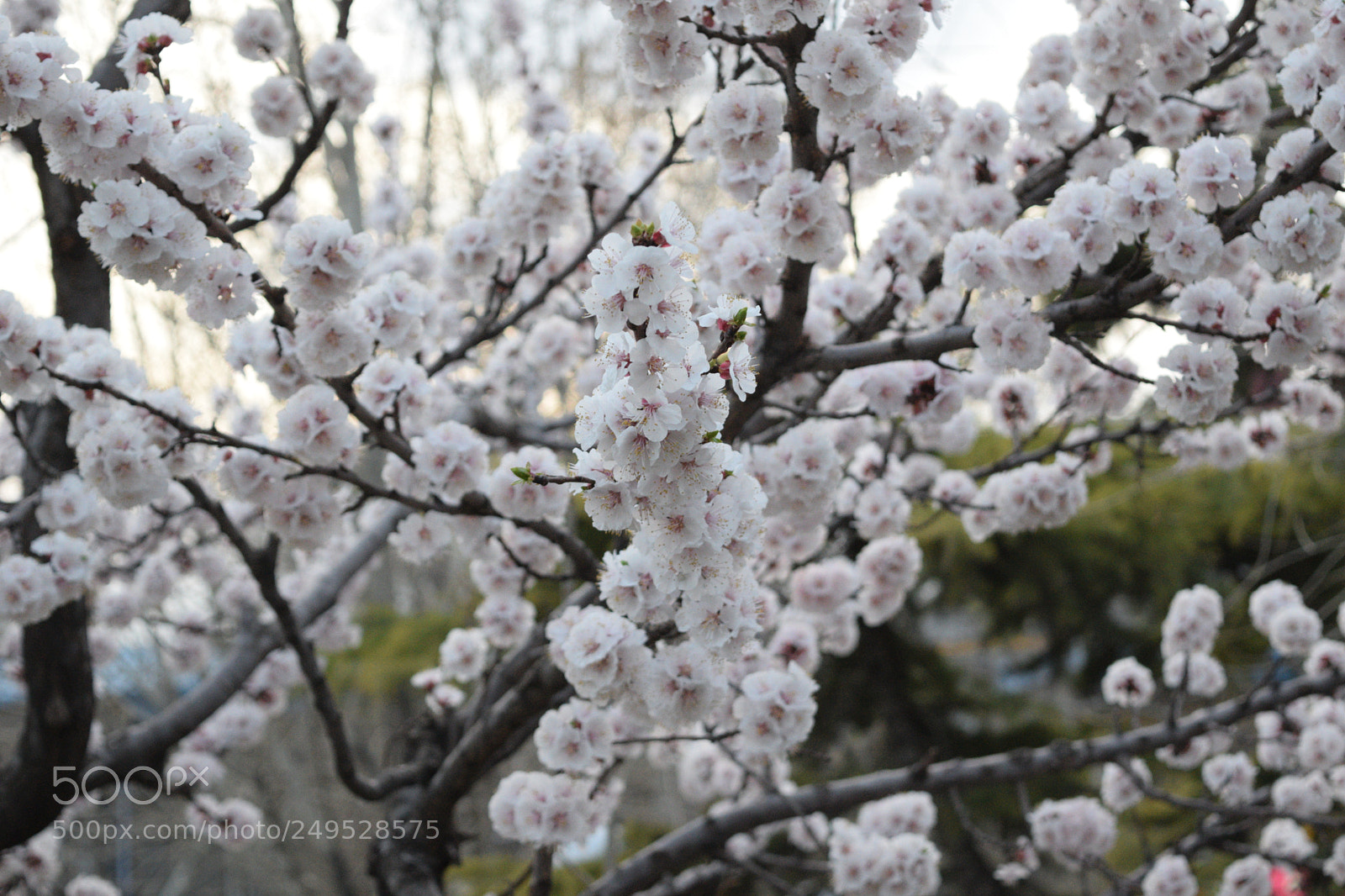 Nikon D3300 sample photo. Untitled photography