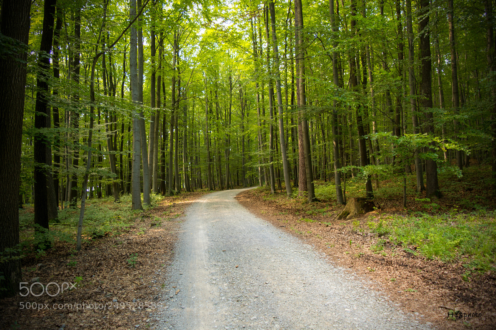 Nikon D5200 sample photo. Go deeper.. photography