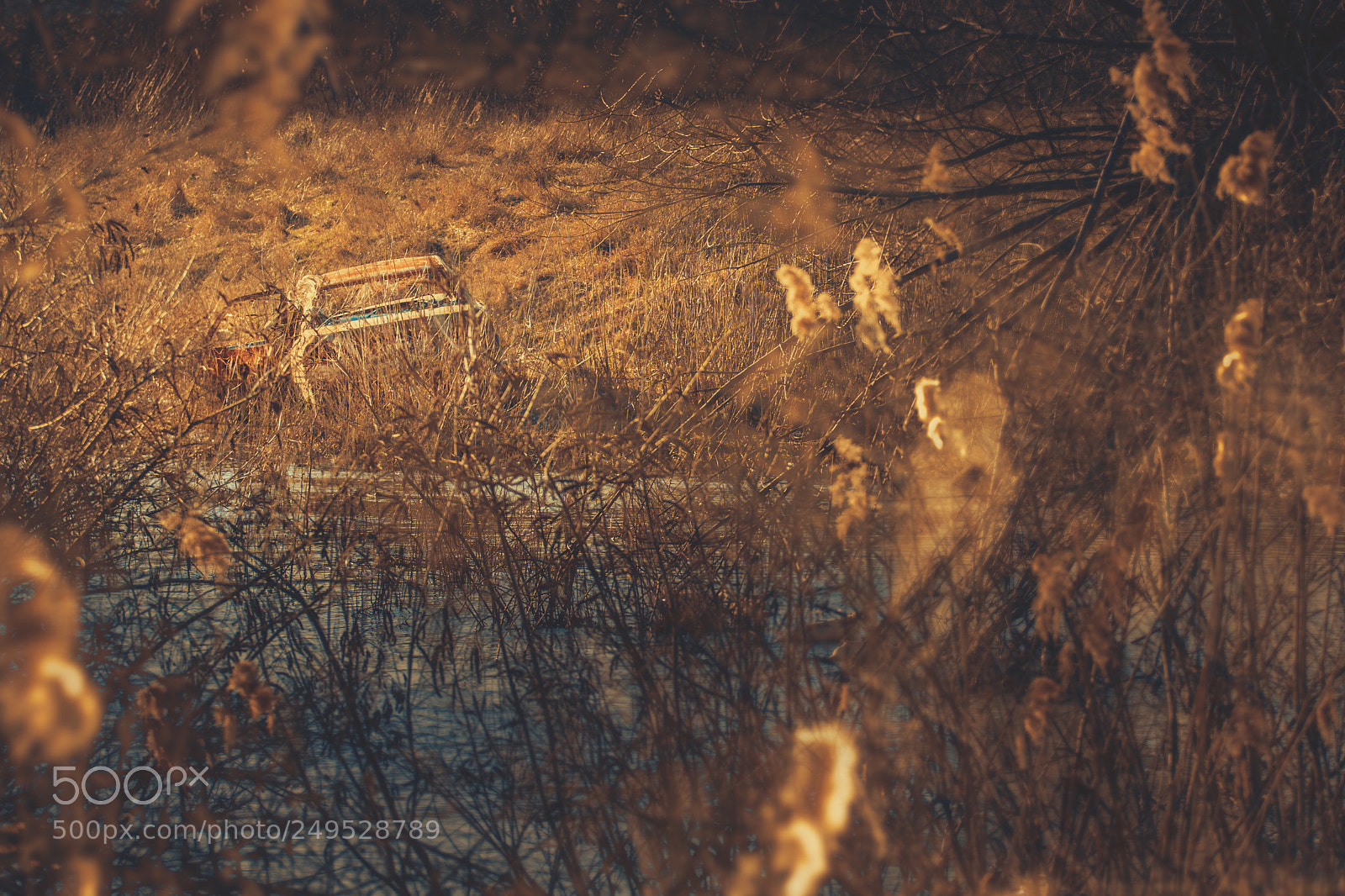 Canon EOS 7D sample photo. Rabla photography