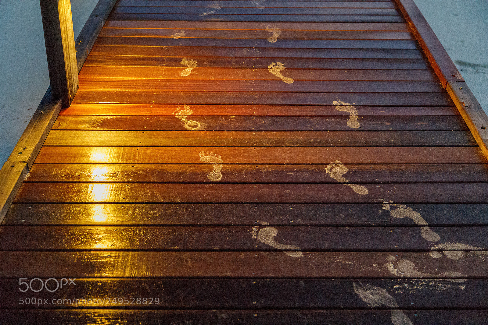 Canon EOS 6D Mark II sample photo. Untitled photography
